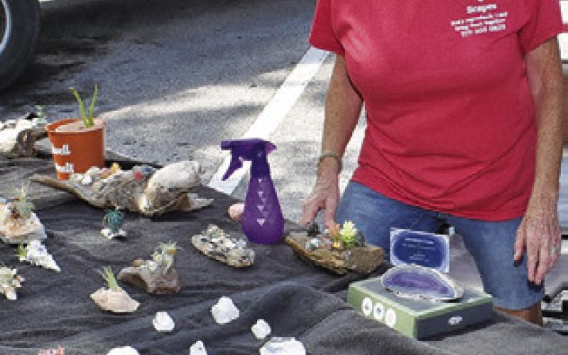 ROXY WALDEN of Roxy’s Rocks &amp;amp; Scapes displays these items on Saturday morning, May 16, at the Farmers Market in Caldwell.