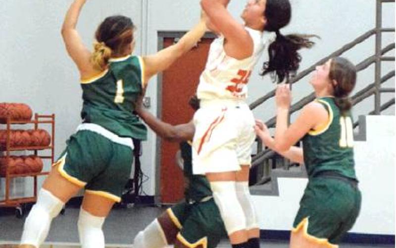 Mathis scores 17 to lead Lady Hornets past Holland