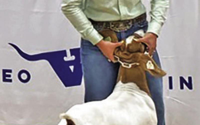 ABBY VOGLER OF Caldwell FFA placed 10th in the Commercial Doe class at FWSSR and 7th in the Market Goat class at Rodeo Austin. Photo courtesy of Abigail Wolski