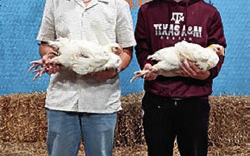 CLAYTON AND BRAYDEN FRALEY represented Caldwell FFA in broilers at HLSR and Rodeo Austin, with Clayton placing 79th in pullets at HLSR. Photo courtesy of Abigail Wolski