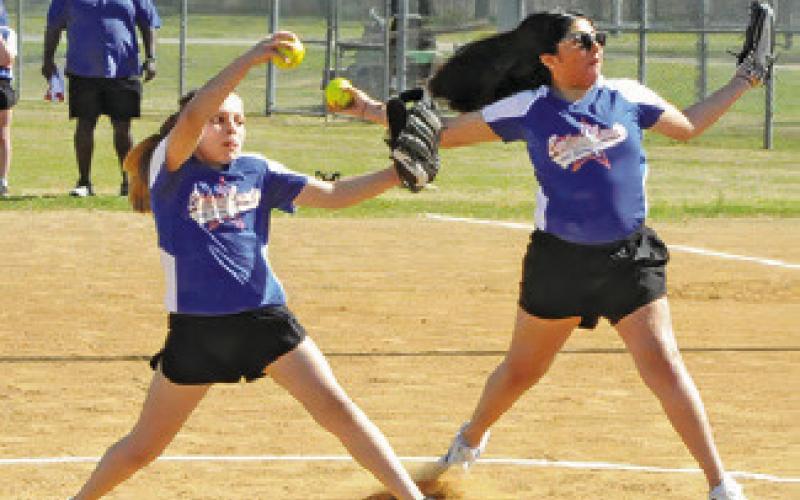 Lady Hornets go 4-1 at Taylor Tourney