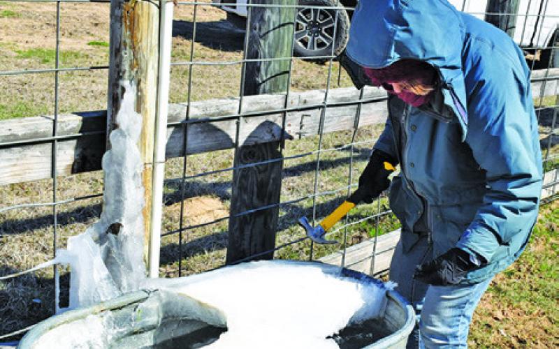 PEGGY GASKAMP KNOCKS the ice off this trough on Wednesday, Feb. 19, at Bar T Ranch off County Road 333. Tribune photo by Roy Sanders
