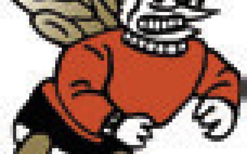 Alt Text for Image