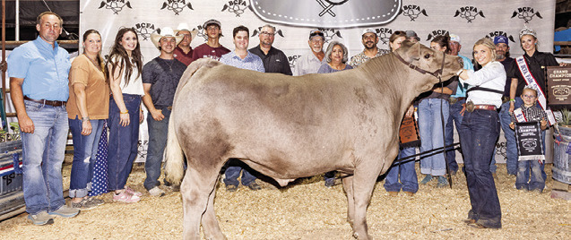 MADALYN FAUST EXHIBITED THE Grand Champion Market Steer at the 2026 Burleson County Fair. She is pictured with Ryan Smejkal, Tori Smejkal, Jeaghan Eckelberg, Jake Hibbeler, James Peiper, Aiden Melson, Duke Groeschke, David Groeschke, Albert Faust, Debra Faust, Brandon Faust, Kristine Faust, Westyn Hughes, Aly Hughes, Mick from Australia, Fair Queen Jolee Telschow and Little Miss Irene Kovar. Photo courtesy of Jessica Jeffries/Jeffries Livestock Marketing