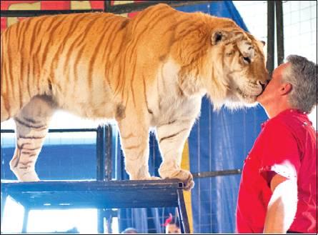 Circus coming to Caldwell on Oct. 16 at fairgrounds
