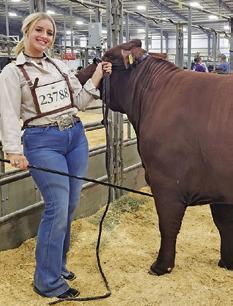 SOMERVILLE’S JALYNN Urbanosky exhibited her Santa Gertrudis heifer at the San Antonio Stock Show &amp; Rodeo.
