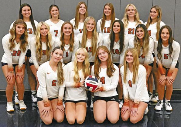 Lady Hornets wish to make a buzz in new district