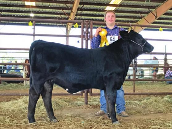 SETH GROCE OF Snook FFA placed second in his class of Simbrah heifers at the Heat O’ Texas Fair &amp; Rodeo in Waco.