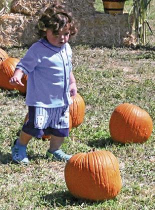 CHILDREN ENJOYED selecting a pumpkin from the pumpkin patch at Saturday’s Downtown Somerville Celebration. Tribune photo by Denise Squier