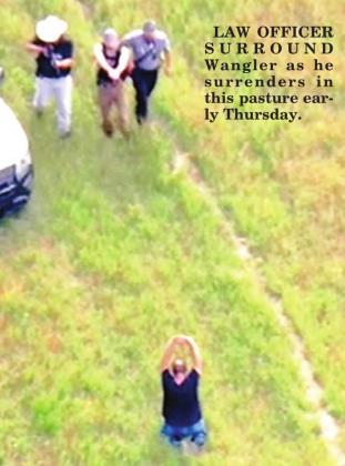LAW OFFICER SURROUND Wangler as he surrenders in this pasture early Thursday.
