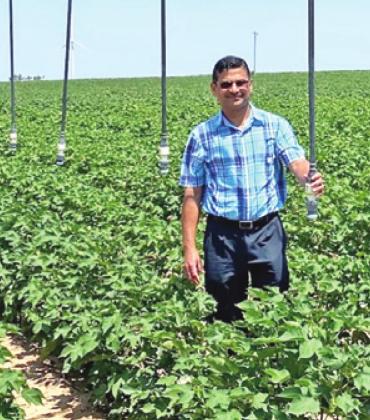Irrigation water use was one of the characteristics Srinivasulu Ale, Ph.D., modeled in future cotton production under changing climate conditions. (Texas A&amp;M AgriLife photo)