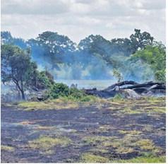 THIS PASTURE WAS burned on Friday afternoon, June 26, off County Road 283. Cooks Point and Caldwell firefighters responded. Photo courtesy of Caldwell VFD