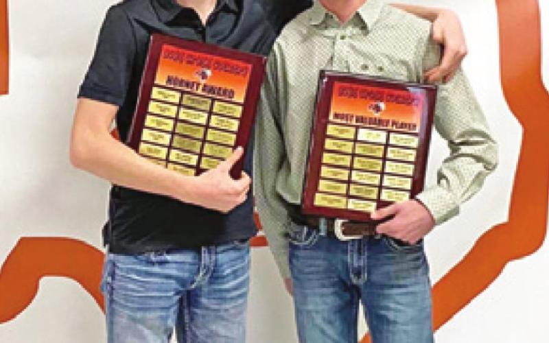 Awards presented at athletic banquet