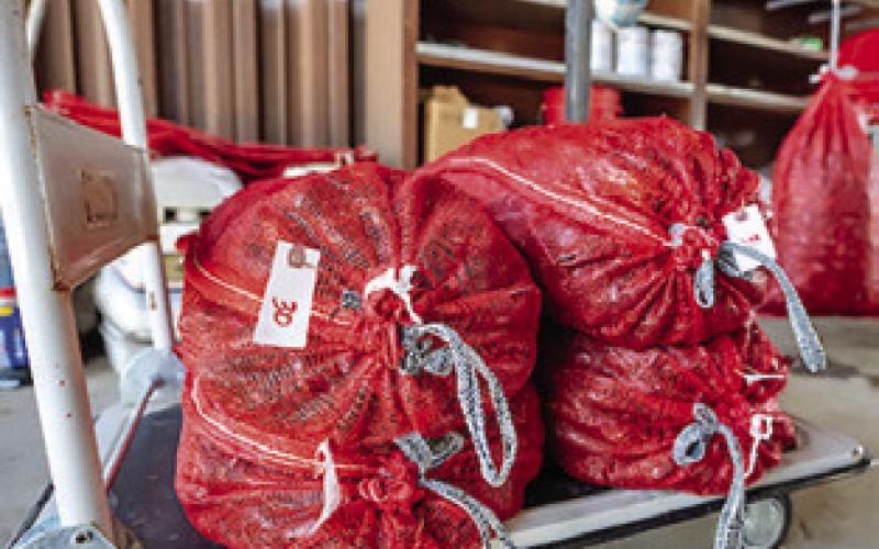 TEXAS CRAWFISH production remains steady, and consumers can expect an average season amid ongoing demand. Photo courtesy of Courtney Sacco/ Texas A&amp;amp;M AgriLife