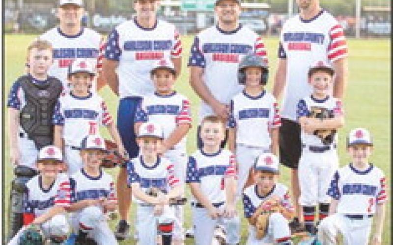 BC 7yo coach pitch baseball All-Stars fall in the championship
