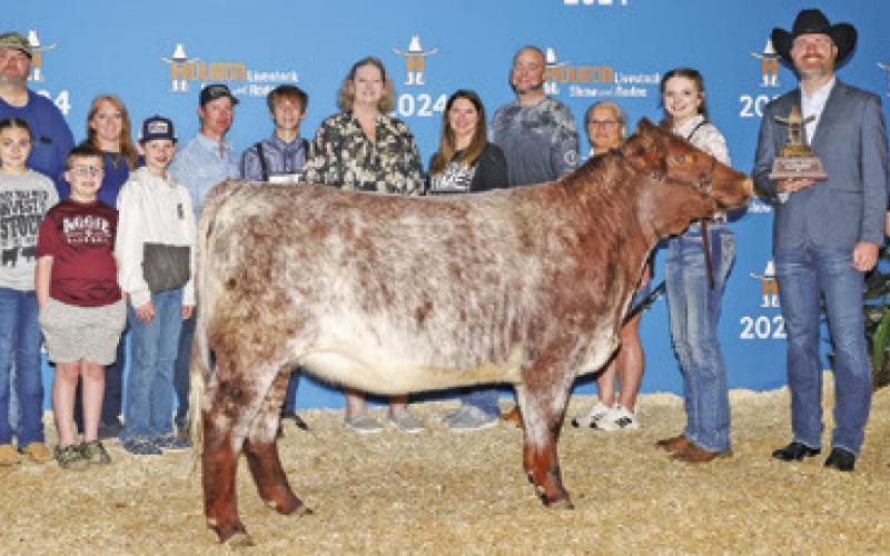 CALDWELL FFA MEMBER KAILEY SIMON exhibited the Shorthorn Calf Scramble Class Winner at the Houston Livestock Show &amp;amp; Rodeo this year.