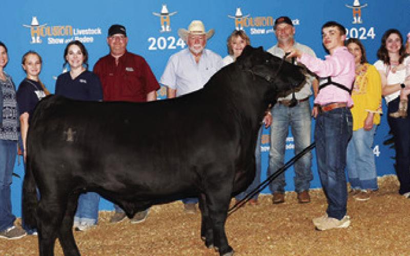 BURLESON COUNTY 4-H member Kaden Schroeder placed second with his Black Angus Steer at the Houston Livestock Show &amp;amp; Rodeo.