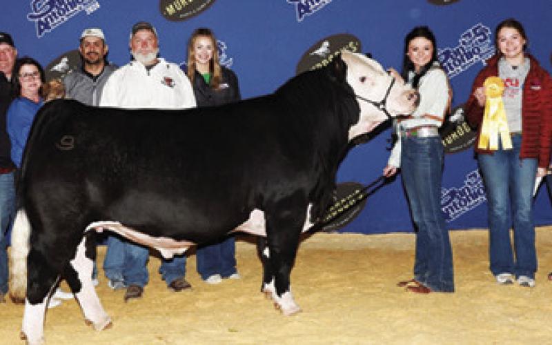 BURLESON COUNTY 4-H member Kate Hill received fifth place for her Maine Steer at the San Antonio Stock Show &amp;amp; Rodeo.