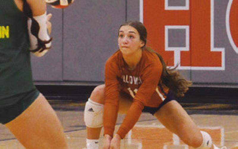 NATALIE EASTEPP prepares to bump the ball during Caldwell’s match against Lexington last Friday at Hornet Gym. Tribune photo by Kimberly Hutcheson
