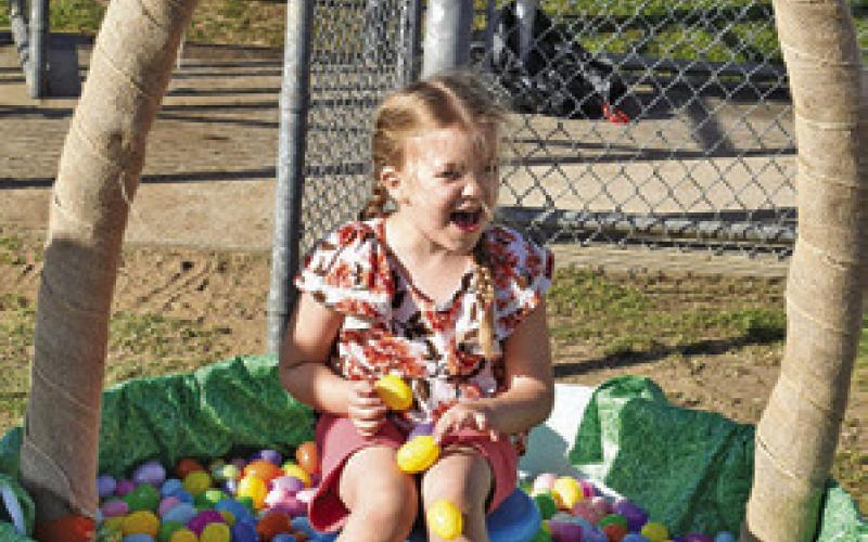 I’m so ‘egg’-cited!