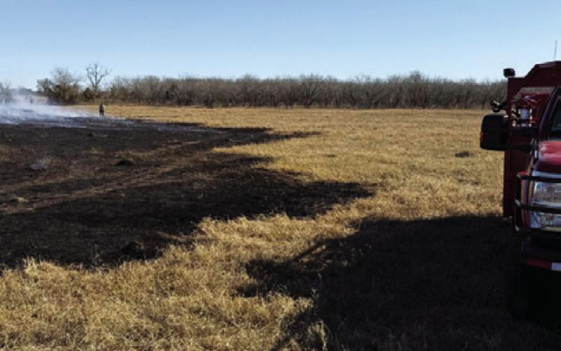 THIS PASTURE LAND is burned off County Road 115 near Deanville. Deanville, Caldwell and Cade Lake firefighters responded. Photo courtesy of Caldwell Volunteer Fire Department.