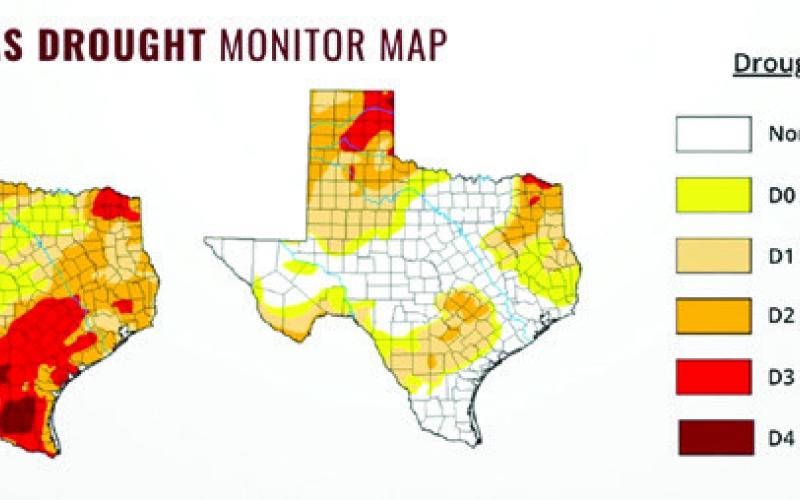 THE DROUGHT MONITOR MAPS for March 24 and June 25 illustrate how rainfall has shifted drought conditions across the state. On March 24, 99% of the state was experiencing some level of drought and the June 25 map shows how conditions improved in most areas and worsened in others. Photo courtesy of U.S. Drought Monitor