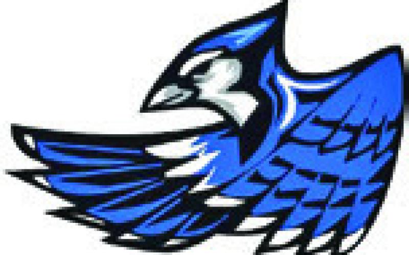 Lady Hornets outscore last week’s opponents 31-2
