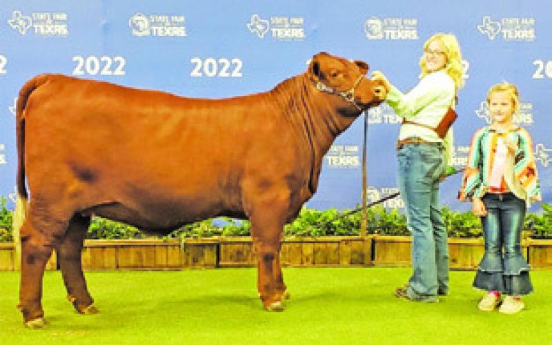 SOMERVILLE FFA