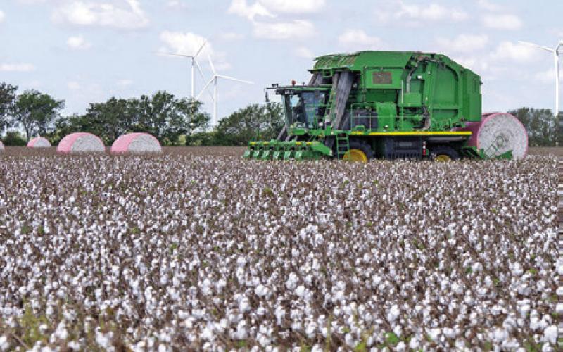TEXAS COTTON PRODUCERS face early drought concerns and shifting market conditions heading into the 2026 planting season. Photo courtesy of Michael Miller/Texas A&amp;amp;M AgriLife