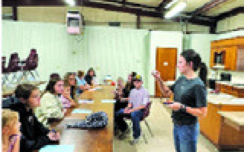 Cooks Point 4-H