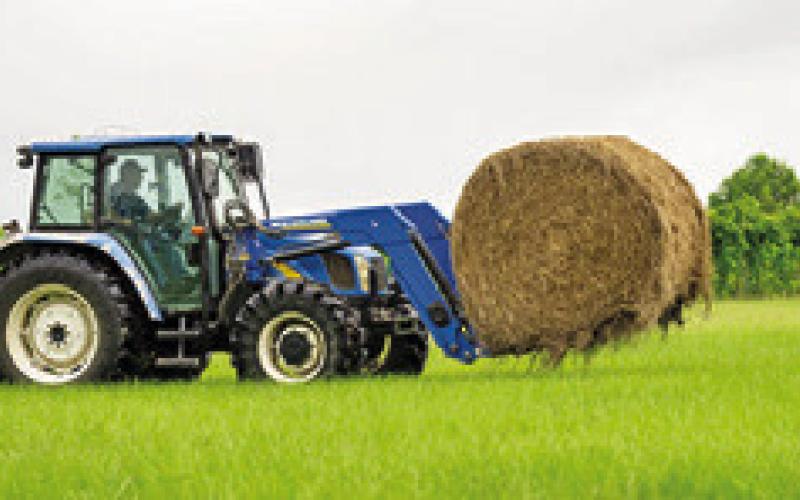 A BUMPER hay crop is starting to dwindle as supplies are being used in the wake of dry weather. Photo courtesy of Sam Craft/ Texas A&amp;amp;M AgriLife