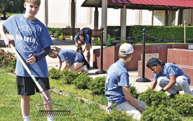 REMOVING WEEDS FROM THE SHRUB area at the Caldwell Civic Center was one of the jobs Caldwell Junior High students performed during last Friday’s Big Event. -- Tribune photo by Roy Sanders
