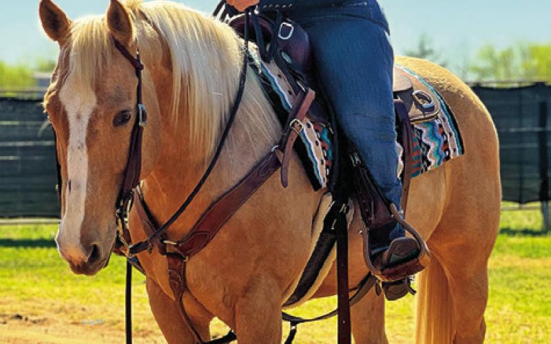 LEE ANN GALLAGHER OF Caldwell was champion in the Novice Horse Walk Trot division of the Let’s Get Ranchy Online Horse Show, a virtual horse show with competitors from across the country. Tribune photo by Sabine Lazo