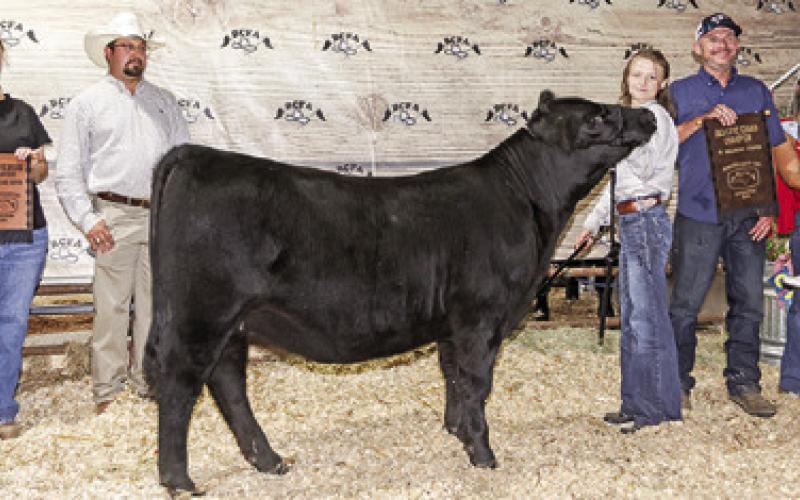HADLEY HOWE EXHIBITED the Grand Champion Heifer at the 2025 Burleson County Fair. Also pictured are Greg Moore, Jayce Morgan, Kody Howe, Ryann Howe, Barrett Howe, Judge Harrison Smith, Kameryn Hill, Carolyn Howe, Kennedy Howe, Heather Howe, Keith Howe, Jack Howe, Aubrey Flencher, Rhyan Ricci, Burleson County Fair Queen Kodi Hitchcock and Little Miss Taytum Hohlt.