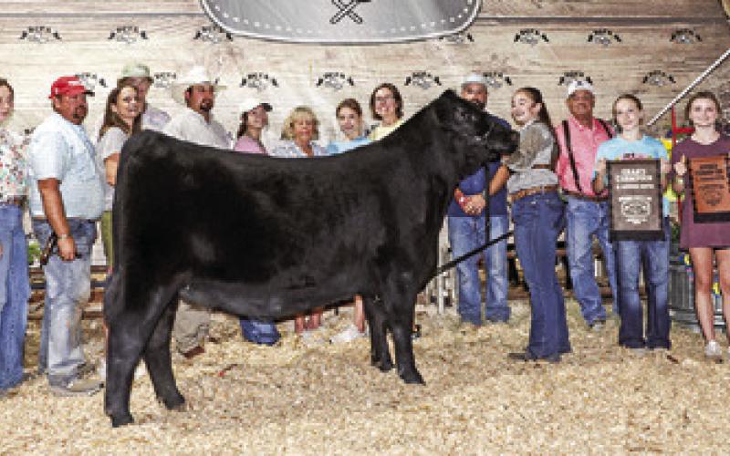 HALEY SEARS EXHIBITED the Reserve Champion Heifer at the 2025 Burleson County Fair. Also pictured are Rachael Sears, Judge Harrison Smith, Brent Sears, Burleson County Fair Queen Kodi Hitchcock and Little Miss Taytum Hohlt.