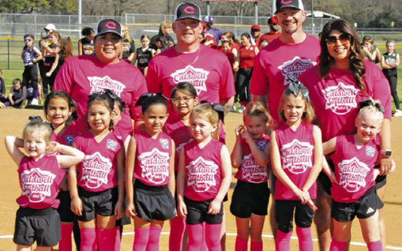 Tee Ball: Barbie Girls