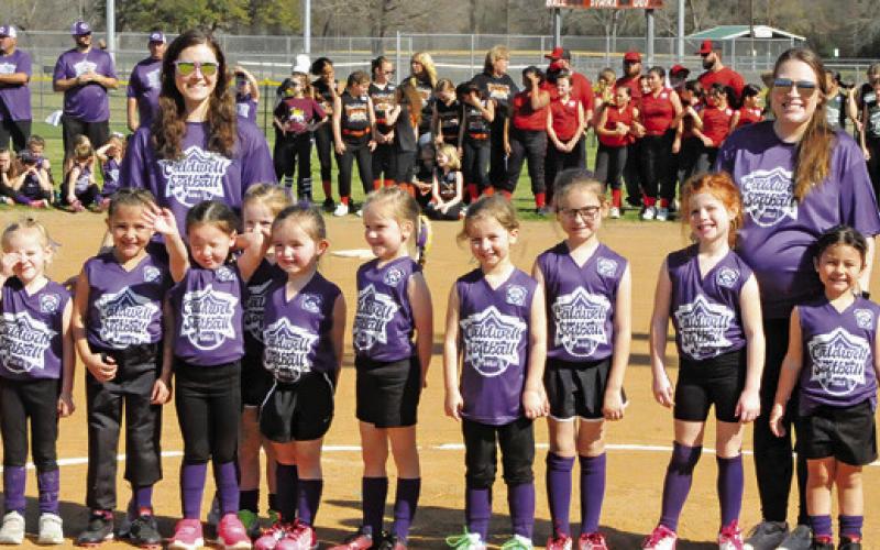 Tee Ball: Purple Hearts