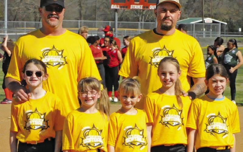 Coach Pitch: The Stingers