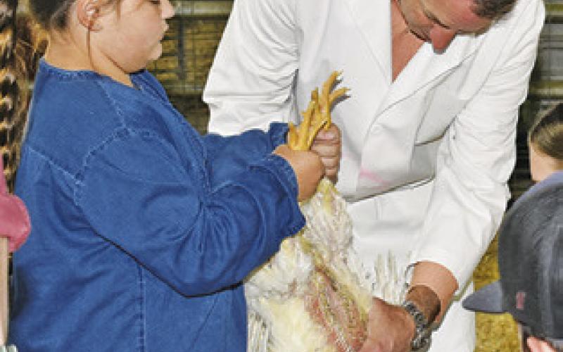 JUDGE JASON Mooney served as judge for broilers and turkeys at the county fair.