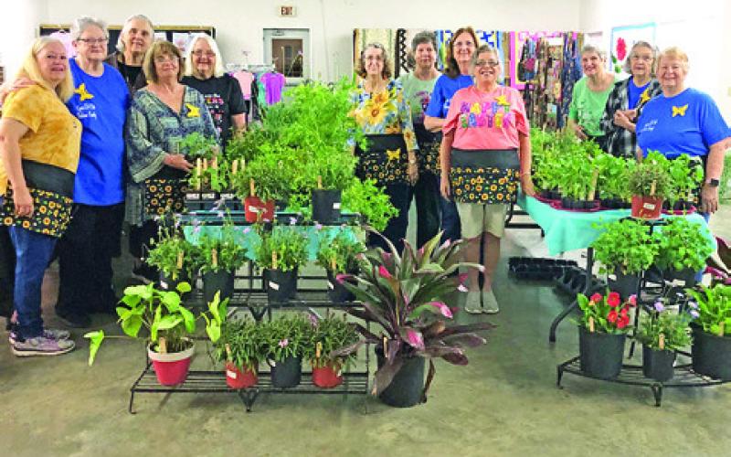 THE LYONS Extension Education Association recently held their annual Spring Fling Plant Sale. Photo courtesy of Lyons EEA