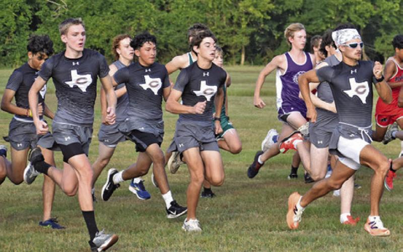 THE CALDWELL VARSITY boys cross country runners leave the starting line of the Caldwell Cross Country Invitational Meet on Saturday at Hejl Park at Davidson Creek in Caldwell. Tribune photo by Roy Sanders