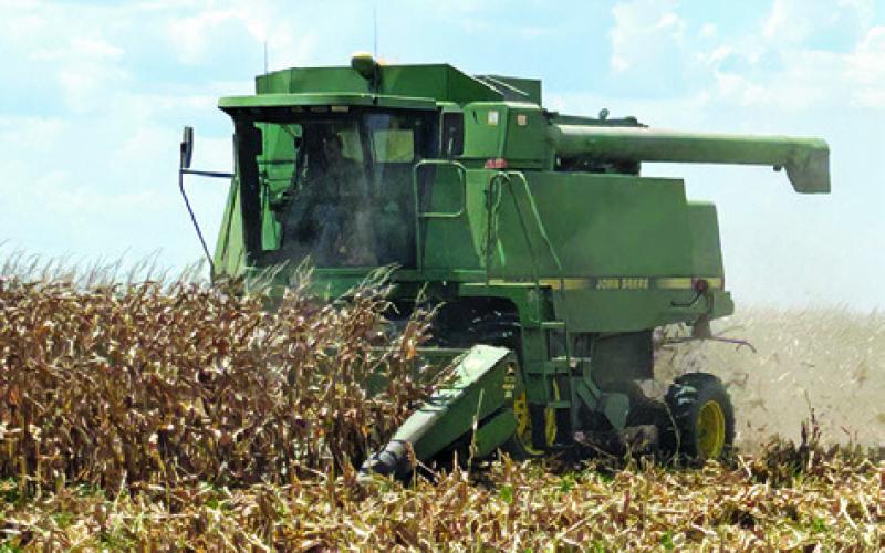 BARNEY AND DENNIS Homeyer begin their corn harvest off State Highway 21 East on Aug. 1. The county’s farmers are starting this week.