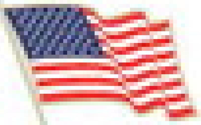 Alt Text for Image