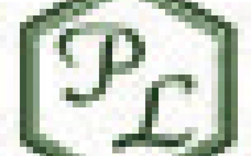 Alt Text for Image