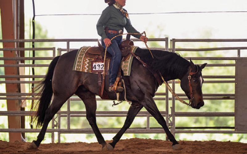 KELLY LAZO OF CALDWELL and her horse The Lil Prince won a world championship and two reserve world championship titles, as well as the high point ranch horse honors, in the OHSA Virtual World Show. Photo courtesy of Slyd My Way Photography