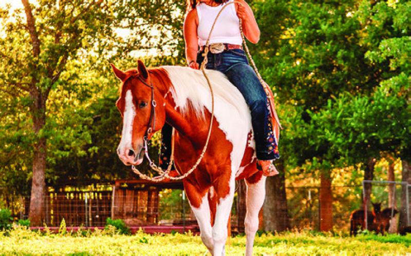 HEZA HUGABLE JET, AN 11-year-old Paint horse owned by Sabine Lazo of Caldwell, was recently inducted into the Hall of Fame for the Open Horse Show Association as one of nine horses to receive this inaugural honor. Photo courtesy of Amor Photography