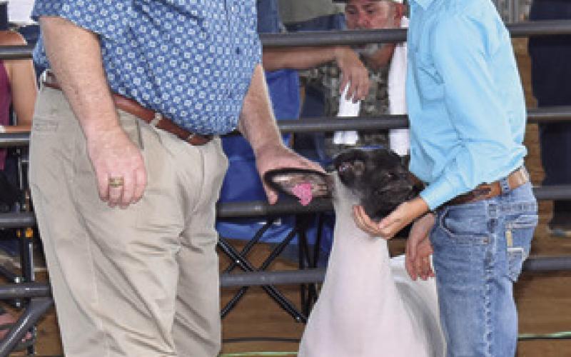 BLAINE DUDENSING shows his lamb as Judge Marty Gibbs offers a comment.