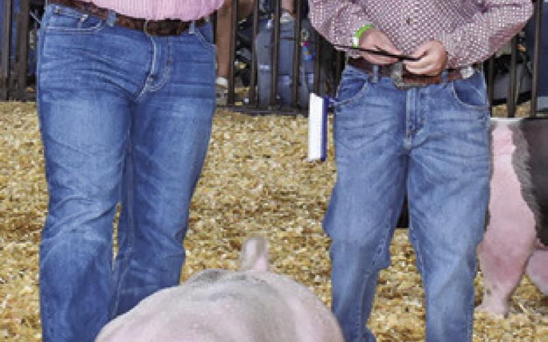 LANE ANDERSON shows his pig at the swine competition at the Burleson County Fair as Judge Cory Raines makes an observation.