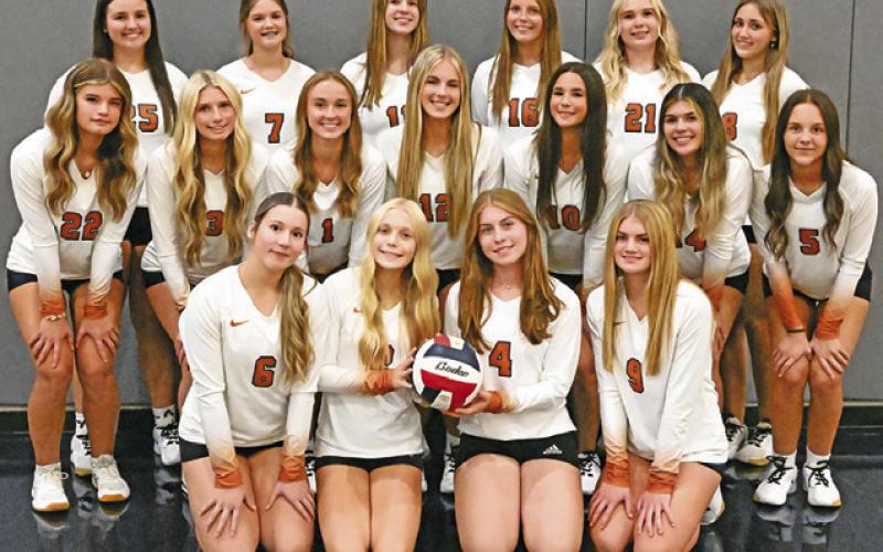 Lady Hornets wish to make a buzz in new district