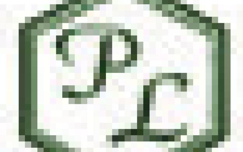 Alt Text for Image
